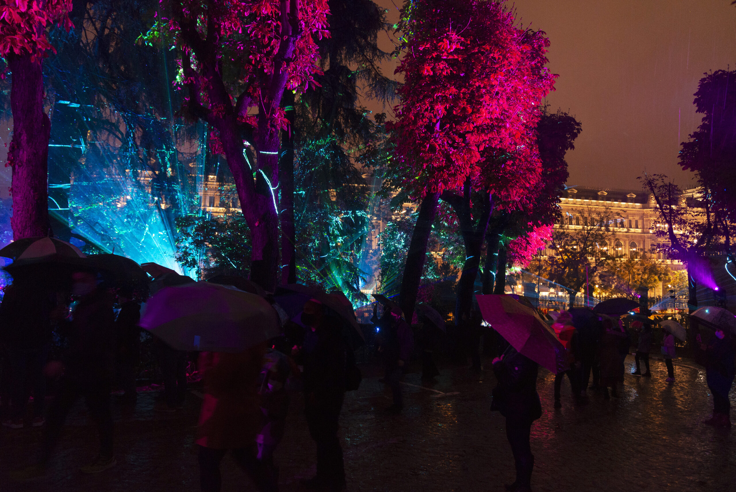 d 20211029 planum et lumen 008 copia